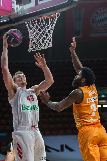 归来都预示 归来都预示